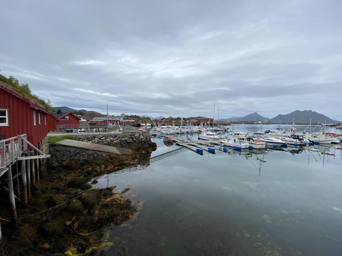 Real Fisherman'S Cabins In Ballstad, Lofoten Dış mekan fotoğraf