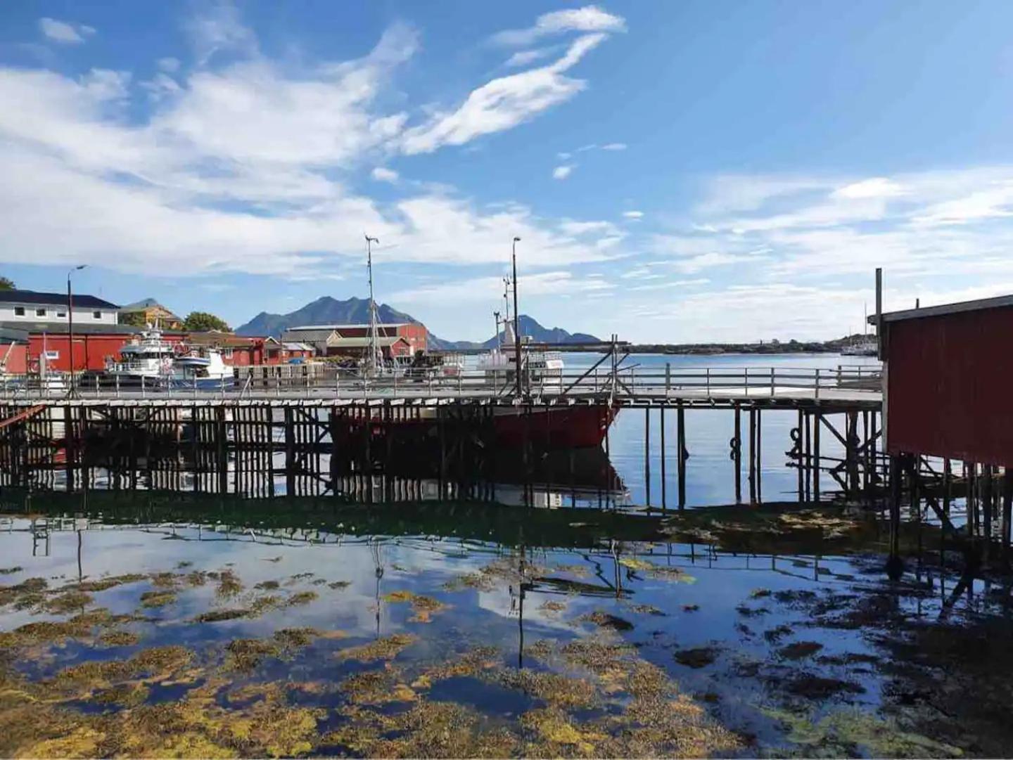 Real Fisherman'S Cabins In Ballstad, Lofoten Dış mekan fotoğraf